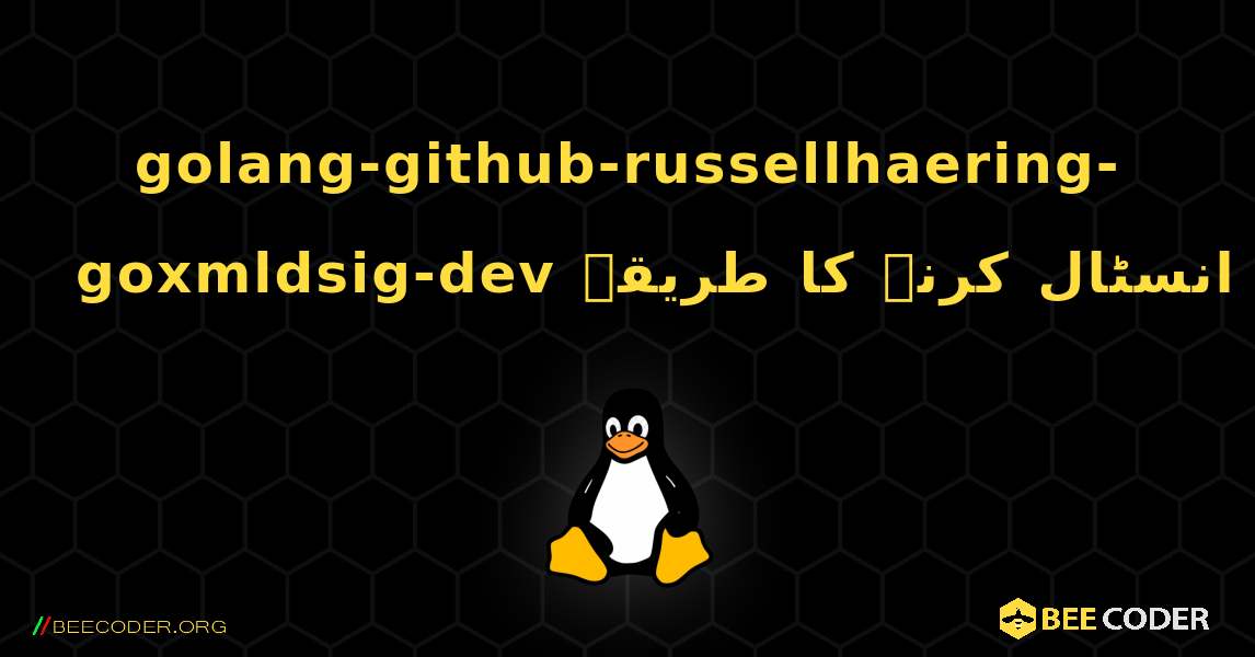 golang-github-russellhaering-goxmldsig-dev  انسٹال کرنے کا طریقہ. Linux