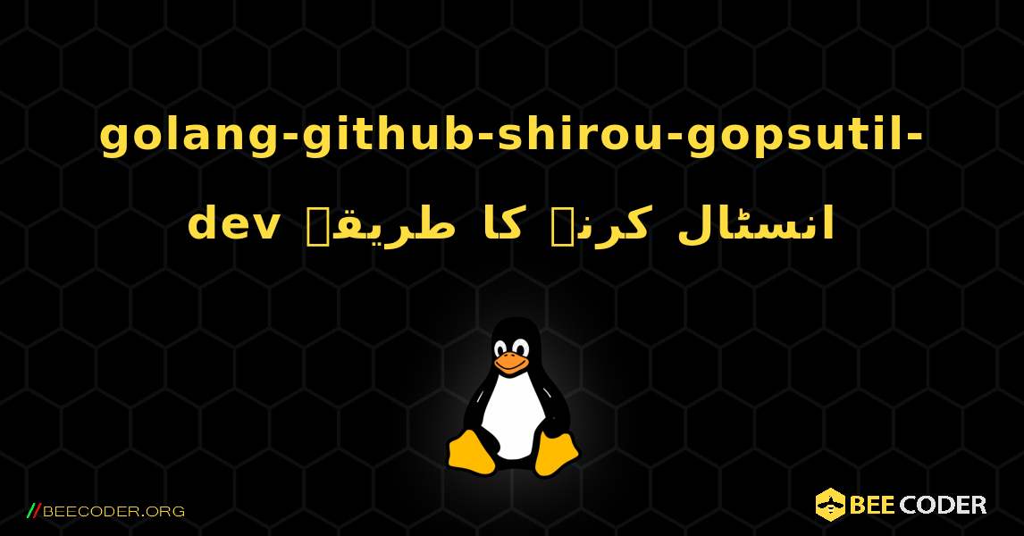 golang-github-shirou-gopsutil-dev  انسٹال کرنے کا طریقہ. Linux