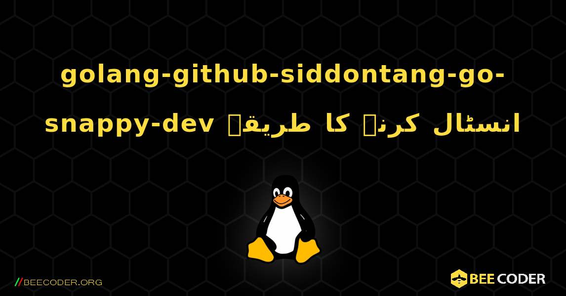 golang-github-siddontang-go-snappy-dev  انسٹال کرنے کا طریقہ. Linux