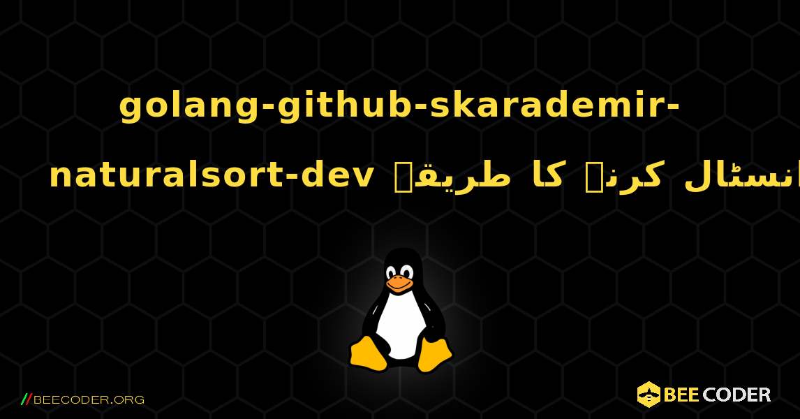 golang-github-skarademir-naturalsort-dev  انسٹال کرنے کا طریقہ. Linux