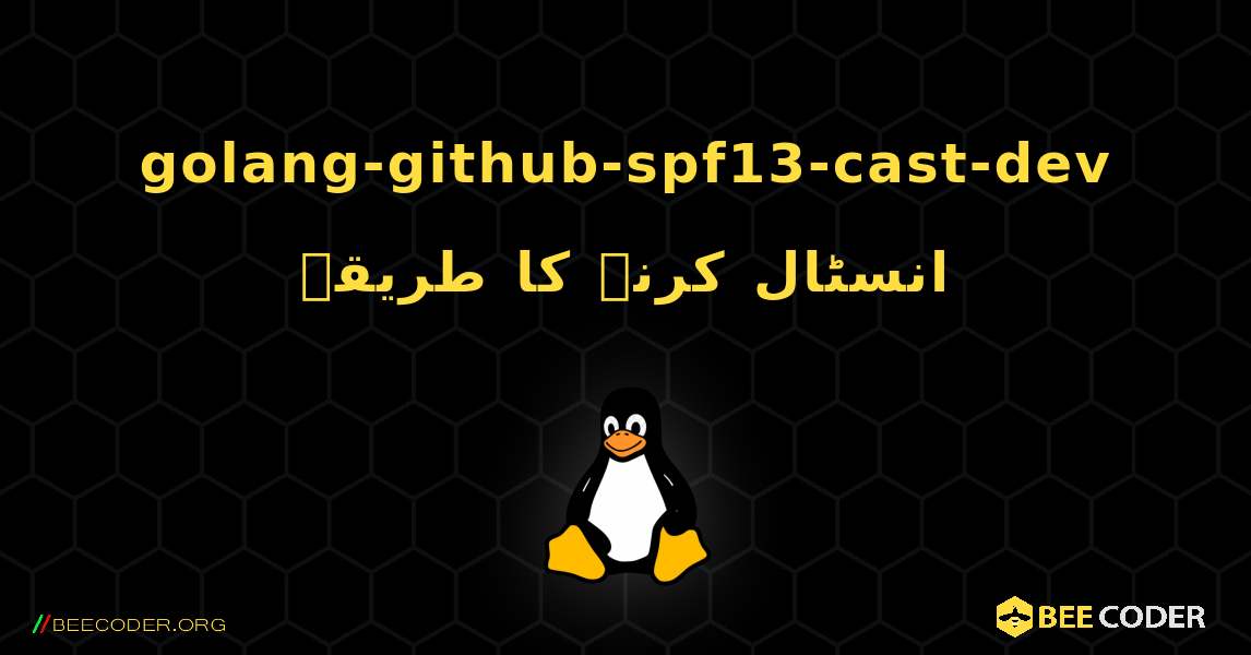 golang-github-spf13-cast-dev  انسٹال کرنے کا طریقہ. Linux
