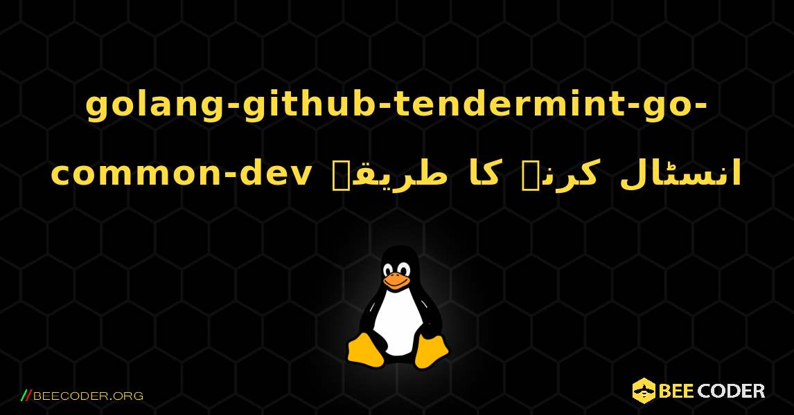 golang-github-tendermint-go-common-dev  انسٹال کرنے کا طریقہ. Linux