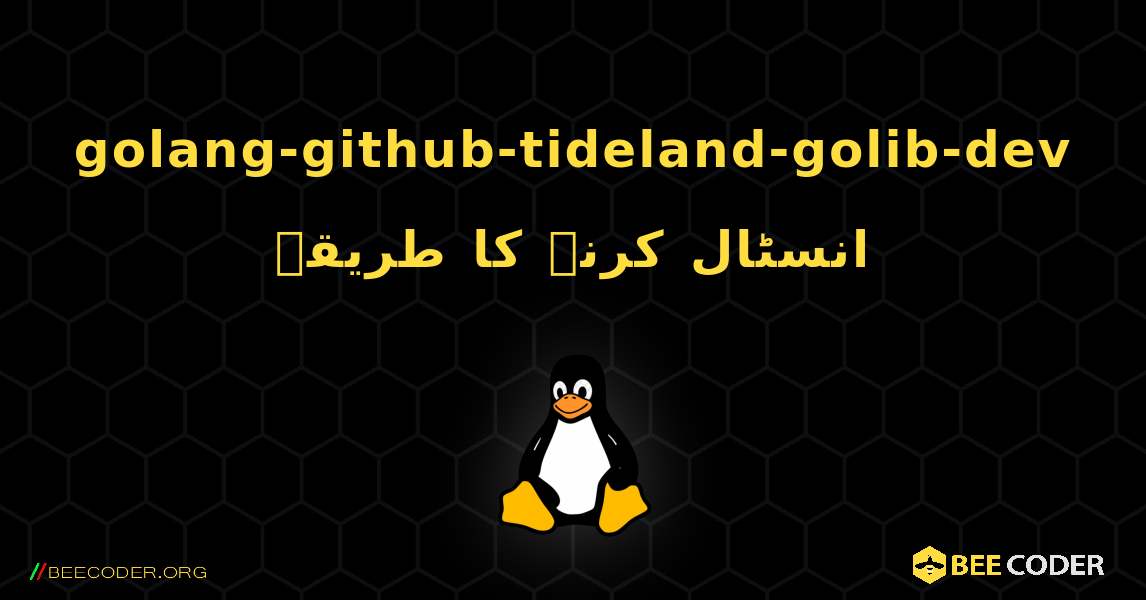golang-github-tideland-golib-dev  انسٹال کرنے کا طریقہ. Linux