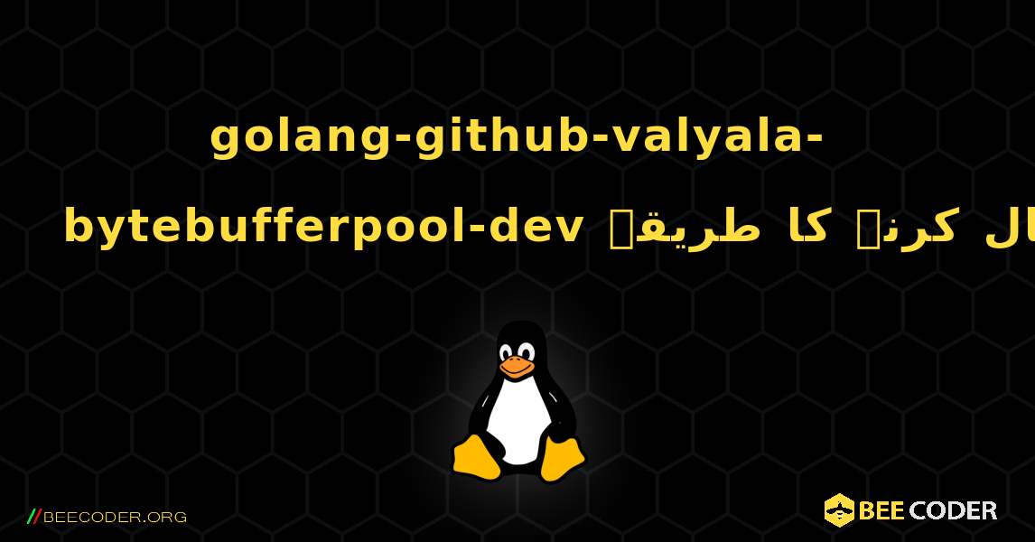 golang-github-valyala-bytebufferpool-dev  انسٹال کرنے کا طریقہ. Linux