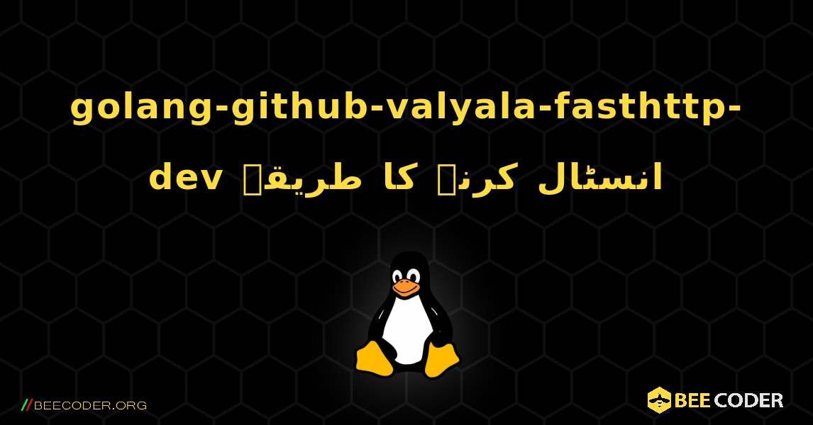 golang-github-valyala-fasthttp-dev  انسٹال کرنے کا طریقہ. Linux