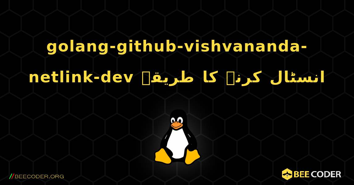 golang-github-vishvananda-netlink-dev  انسٹال کرنے کا طریقہ. Linux