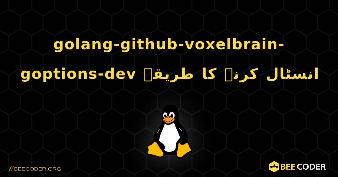 golang-github-voxelbrain-goptions-dev  انسٹال کرنے کا طریقہ. Linux