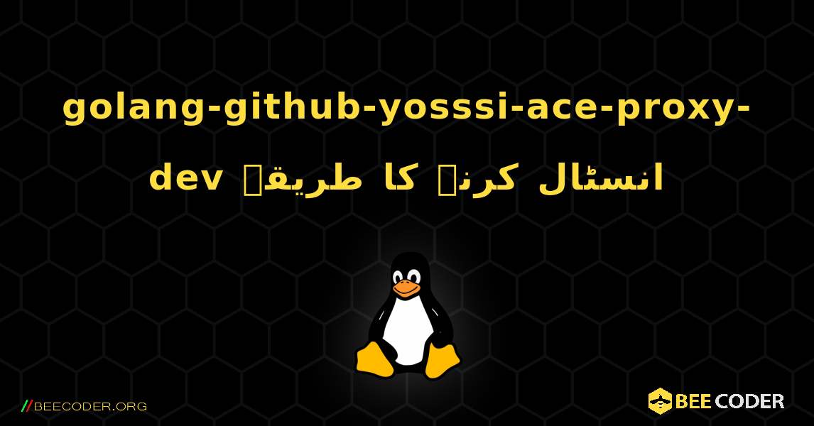 golang-github-yosssi-ace-proxy-dev  انسٹال کرنے کا طریقہ. Linux