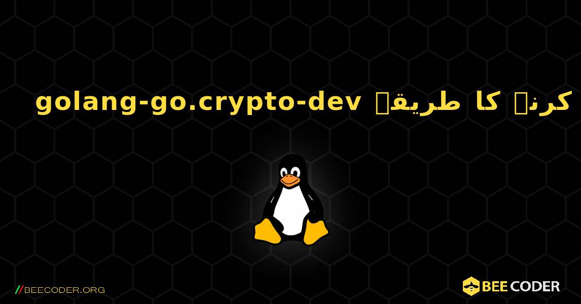 golang-go.crypto-dev  انسٹال کرنے کا طریقہ. Linux