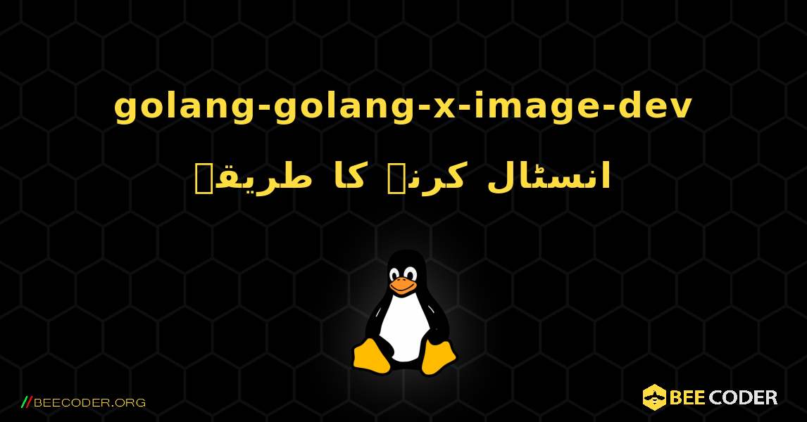 golang-golang-x-image-dev  انسٹال کرنے کا طریقہ. Linux