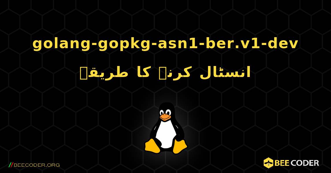 golang-gopkg-asn1-ber.v1-dev  انسٹال کرنے کا طریقہ. Linux