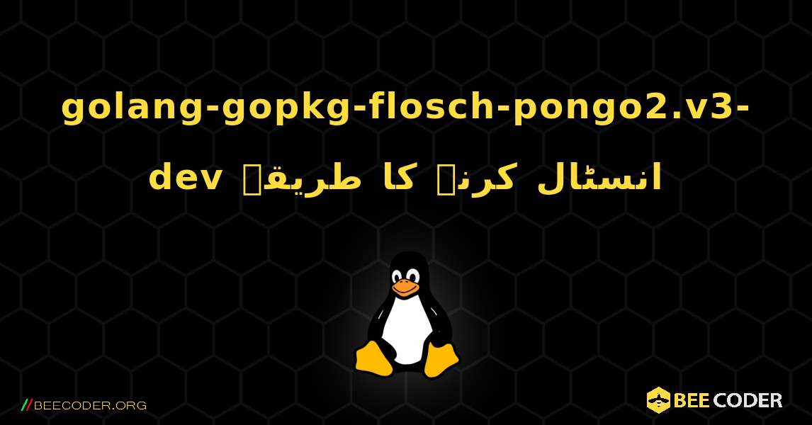 golang-gopkg-flosch-pongo2.v3-dev  انسٹال کرنے کا طریقہ. Linux