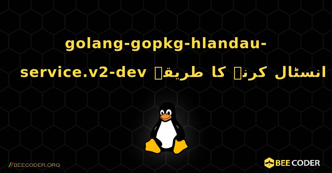 golang-gopkg-hlandau-service.v2-dev  انسٹال کرنے کا طریقہ. Linux
