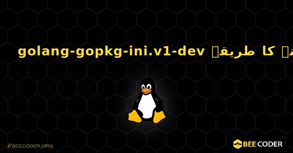 golang-gopkg-ini.v1-dev  انسٹال کرنے کا طریقہ. Linux