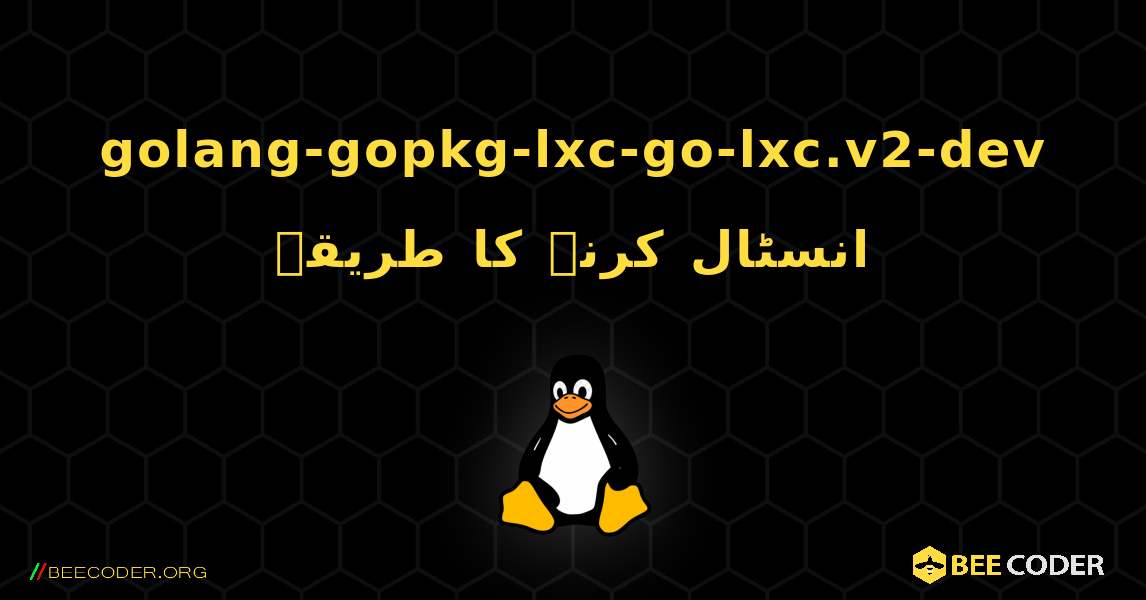 golang-gopkg-lxc-go-lxc.v2-dev  انسٹال کرنے کا طریقہ. Linux