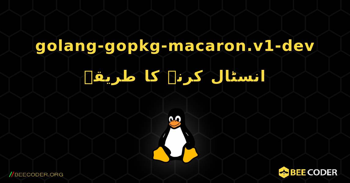 golang-gopkg-macaron.v1-dev  انسٹال کرنے کا طریقہ. Linux