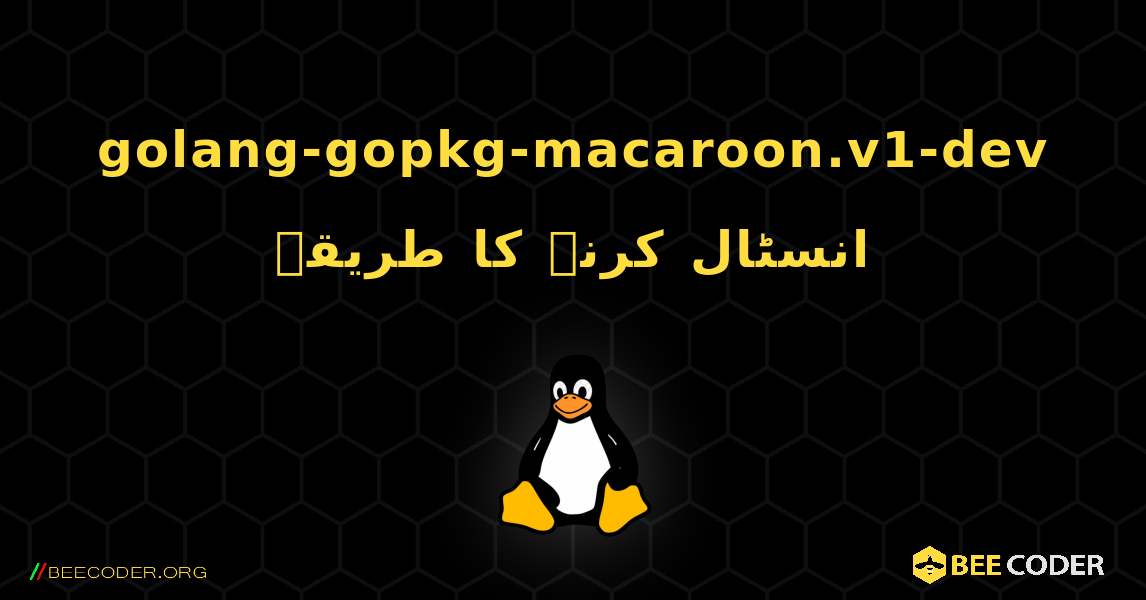 golang-gopkg-macaroon.v1-dev  انسٹال کرنے کا طریقہ. Linux