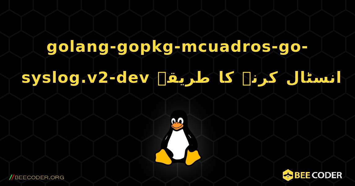 golang-gopkg-mcuadros-go-syslog.v2-dev  انسٹال کرنے کا طریقہ. Linux