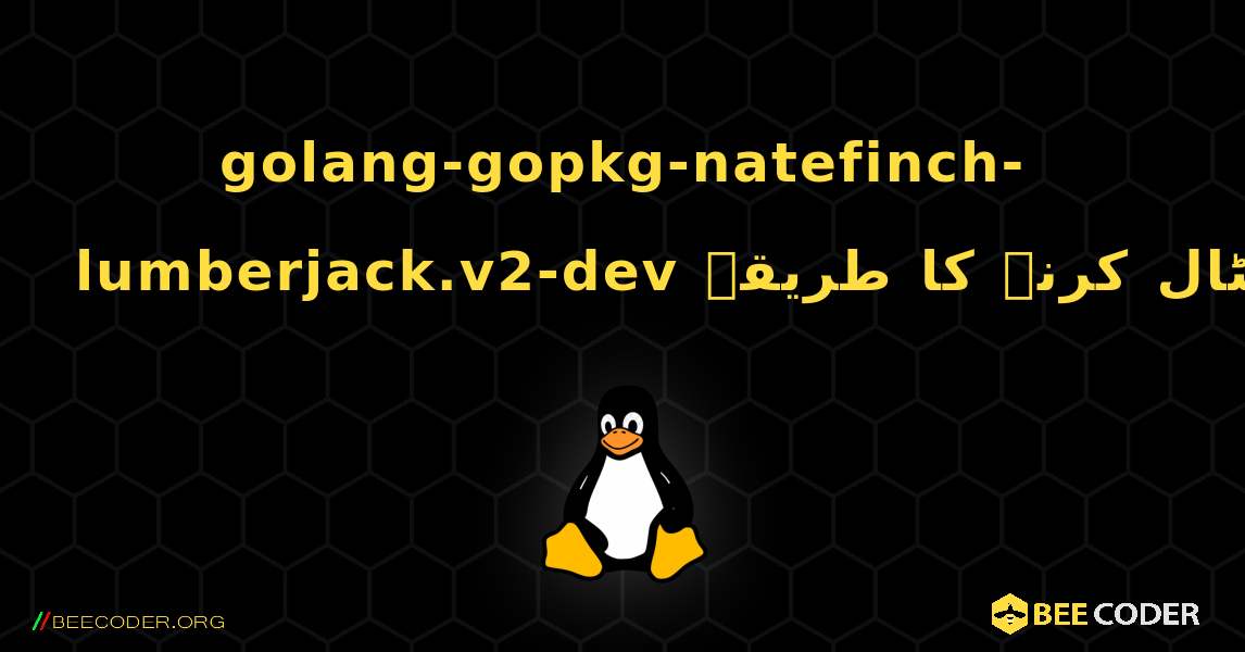 golang-gopkg-natefinch-lumberjack.v2-dev  انسٹال کرنے کا طریقہ. Linux