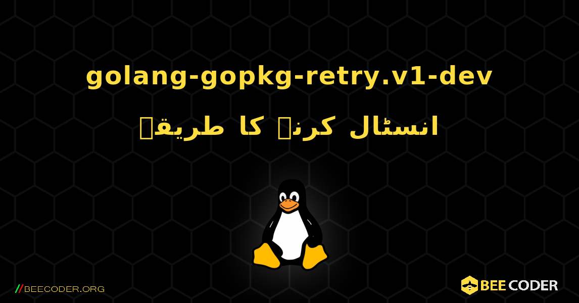 golang-gopkg-retry.v1-dev  انسٹال کرنے کا طریقہ. Linux