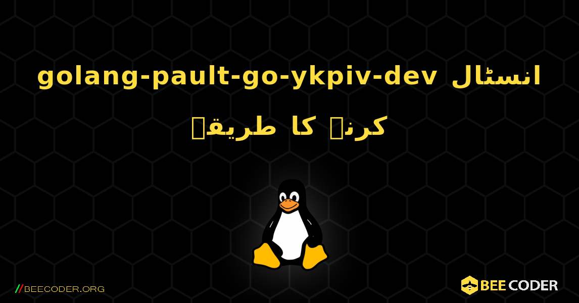 golang-pault-go-ykpiv-dev  انسٹال کرنے کا طریقہ. Linux