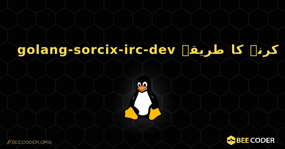 golang-sorcix-irc-dev  انسٹال کرنے کا طریقہ. Linux