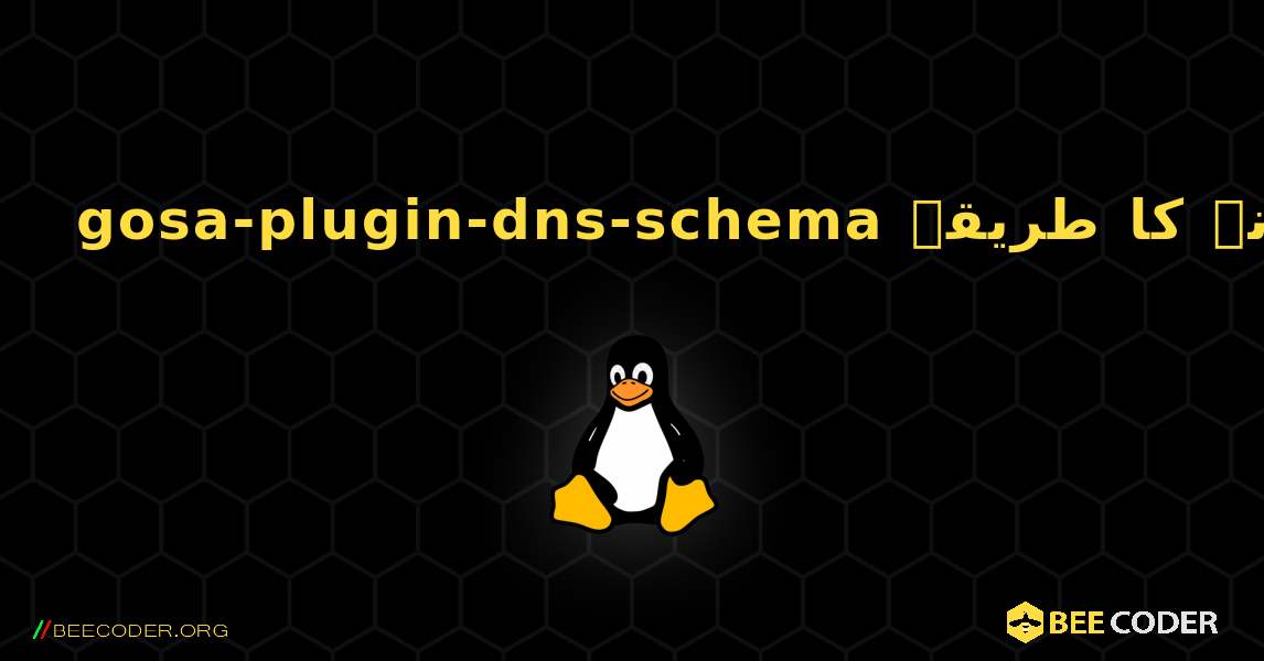 gosa-plugin-dns-schema  انسٹال کرنے کا طریقہ. Linux