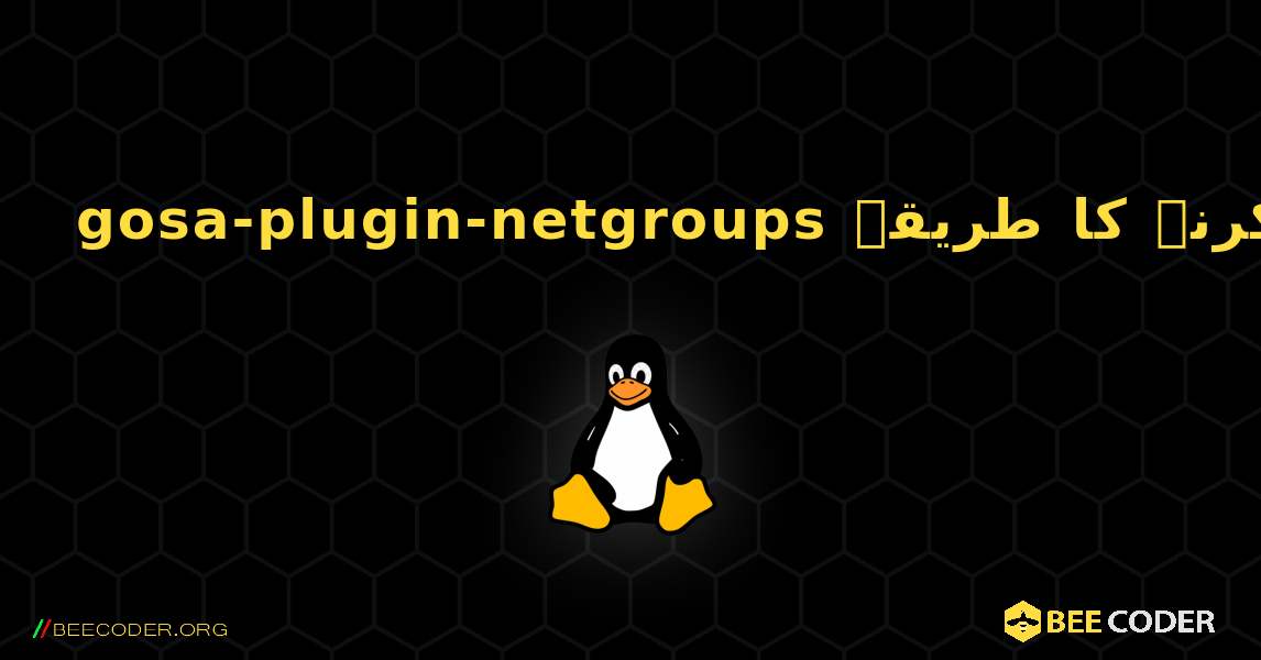 gosa-plugin-netgroups  انسٹال کرنے کا طریقہ. Linux