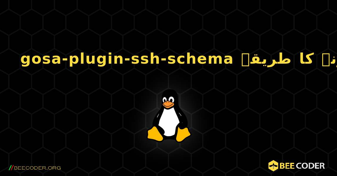 gosa-plugin-ssh-schema  انسٹال کرنے کا طریقہ. Linux