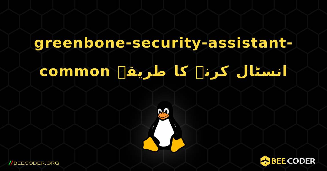 greenbone-security-assistant-common  انسٹال کرنے کا طریقہ. Linux