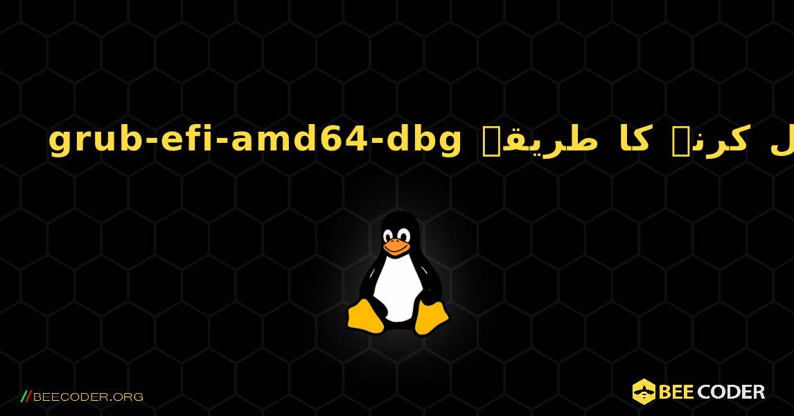 grub-efi-amd64-dbg  انسٹال کرنے کا طریقہ. Linux