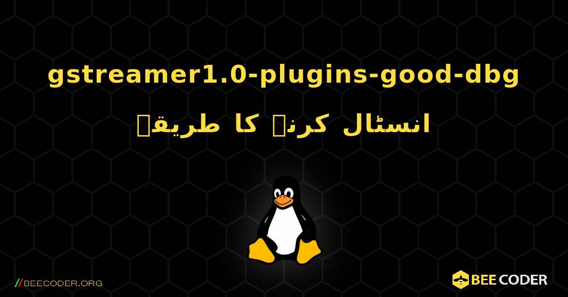 gstreamer1.0-plugins-good-dbg  انسٹال کرنے کا طریقہ. Linux