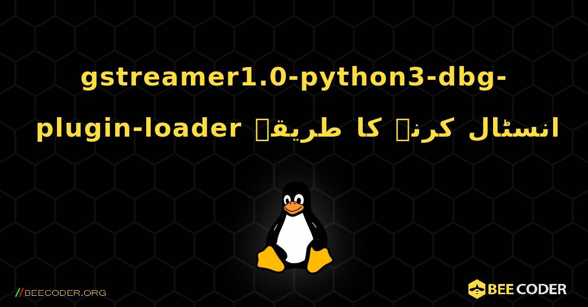 gstreamer1.0-python3-dbg-plugin-loader  انسٹال کرنے کا طریقہ. Linux