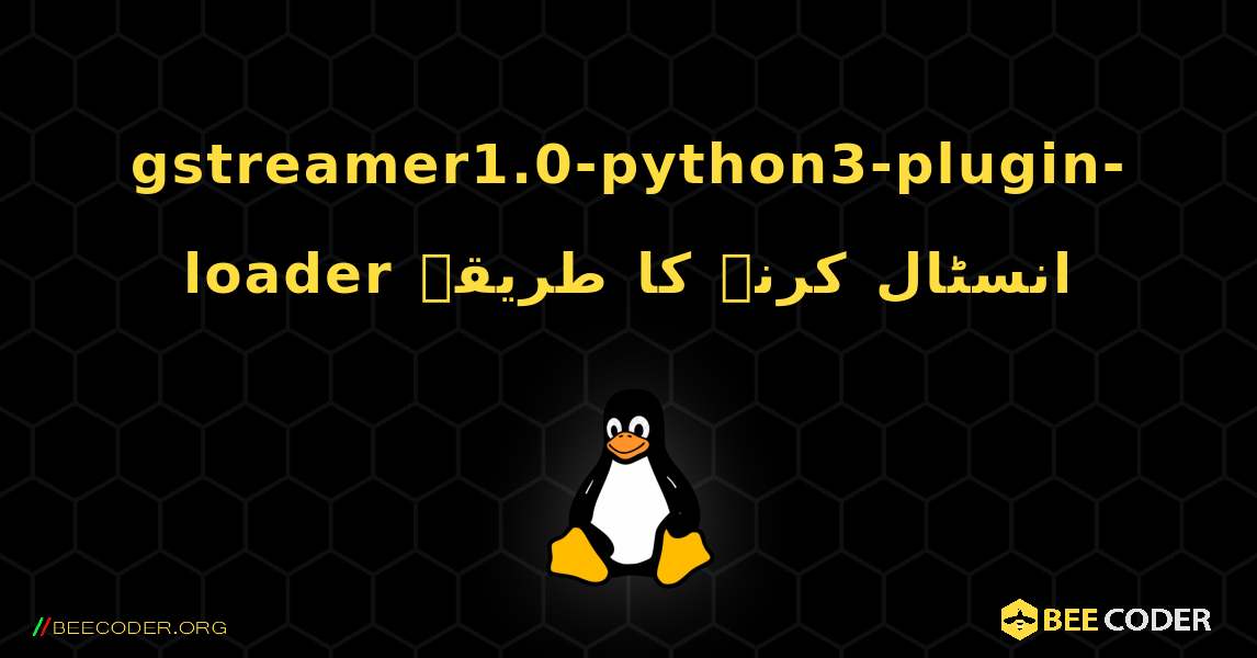 gstreamer1.0-python3-plugin-loader  انسٹال کرنے کا طریقہ. Linux