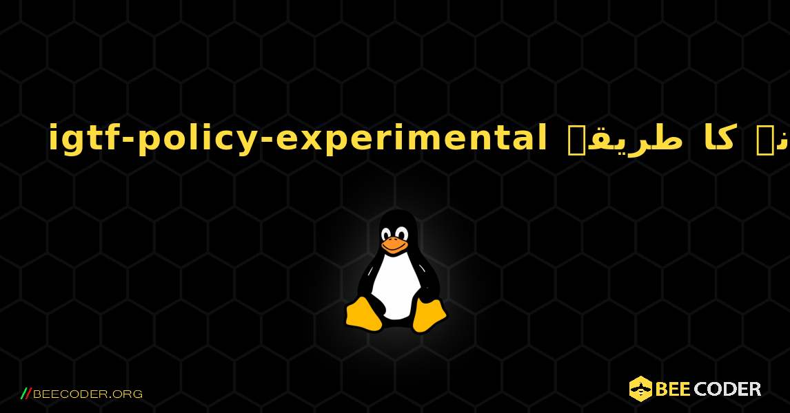 igtf-policy-experimental  انسٹال کرنے کا طریقہ. Linux