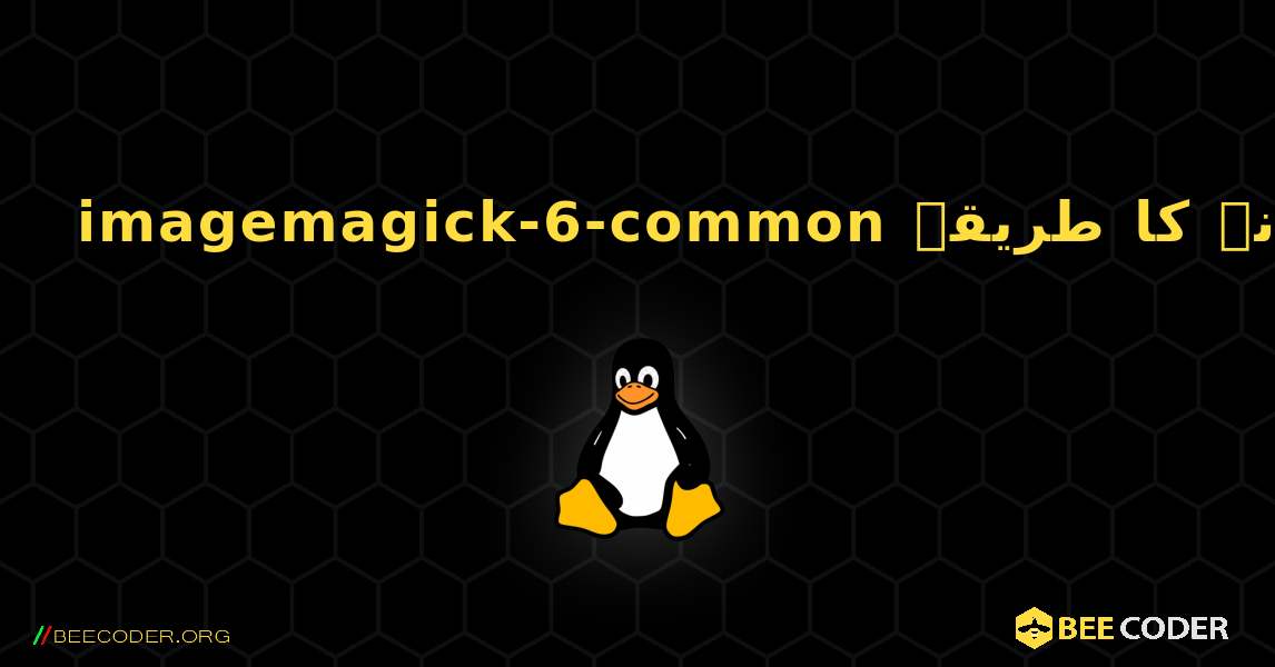 imagemagick-6-common  انسٹال کرنے کا طریقہ. Linux