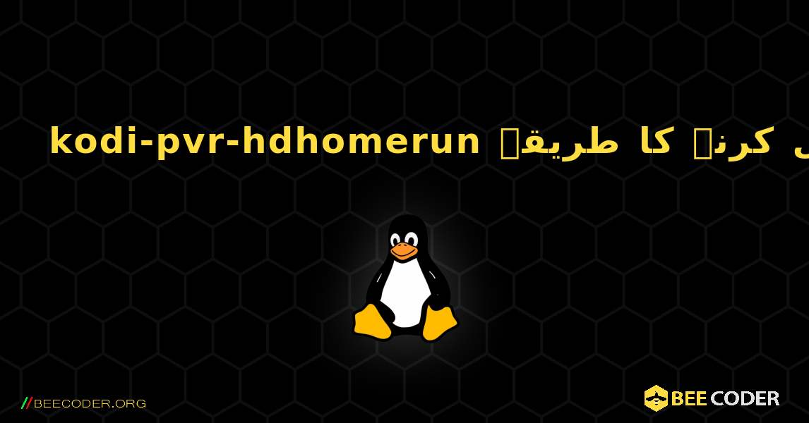 kodi-pvr-hdhomerun  انسٹال کرنے کا طریقہ. Linux