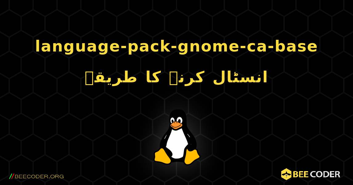 language-pack-gnome-ca-base  انسٹال کرنے کا طریقہ. Linux