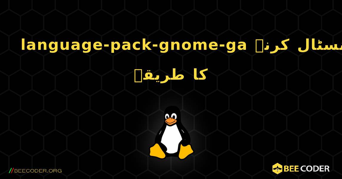 language-pack-gnome-ga  انسٹال کرنے کا طریقہ. Linux