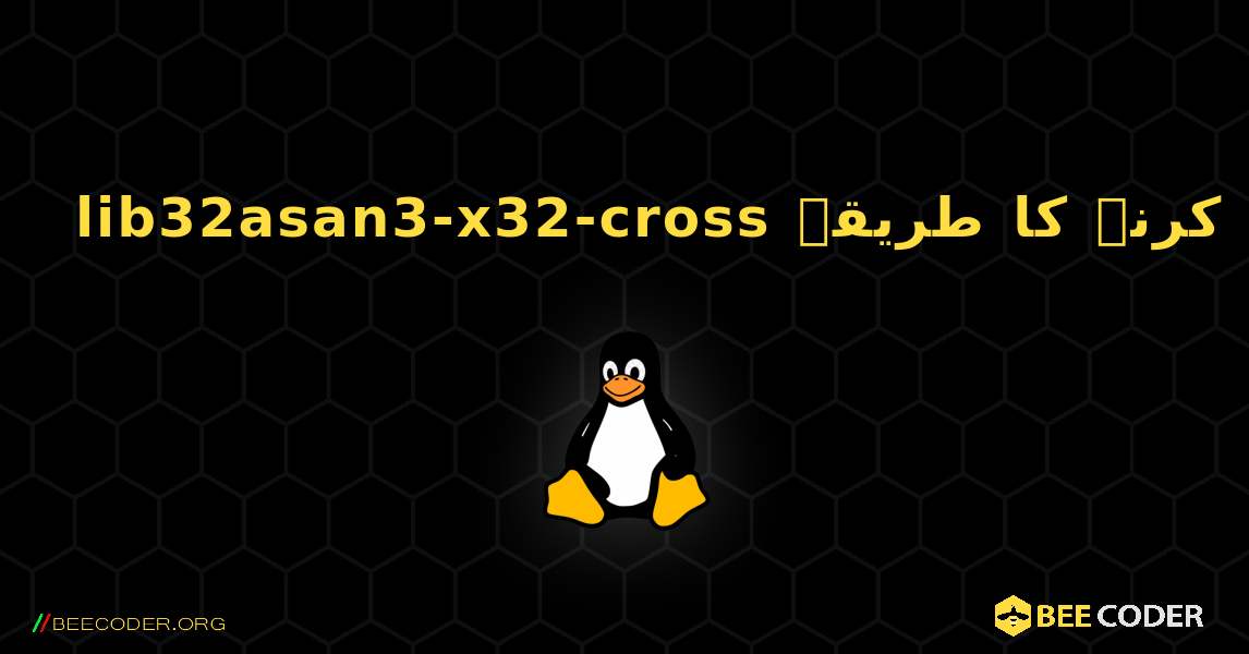 lib32asan3-x32-cross  انسٹال کرنے کا طریقہ. Linux