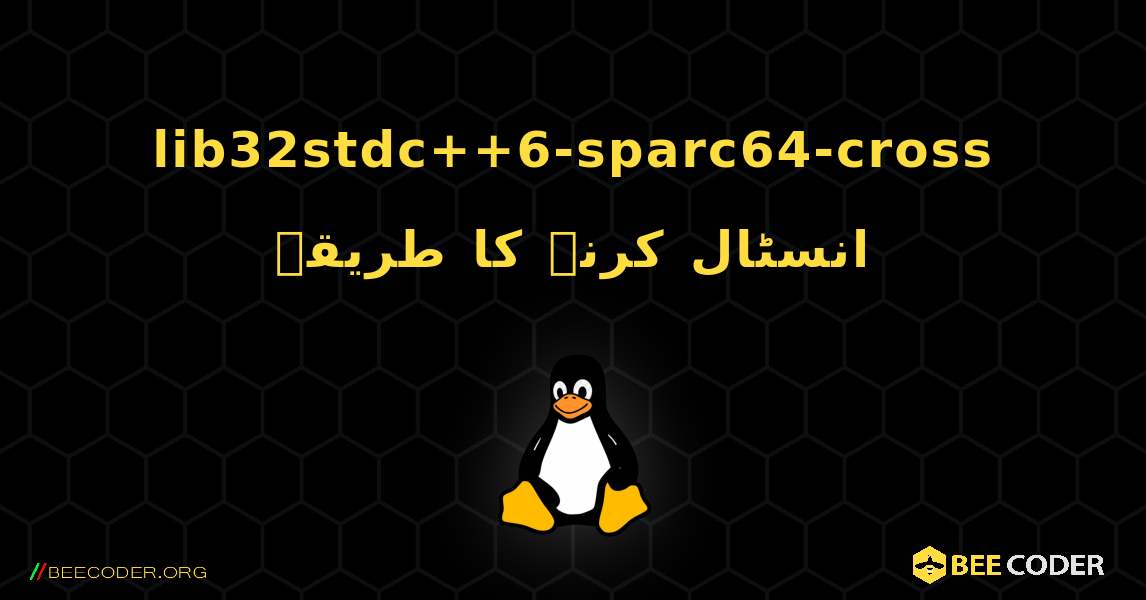 lib32stdc++6-sparc64-cross  انسٹال کرنے کا طریقہ. Linux