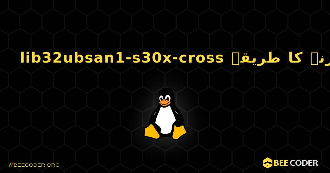 lib32ubsan1-s30x-cross  انسٹال کرنے کا طریقہ. Linux