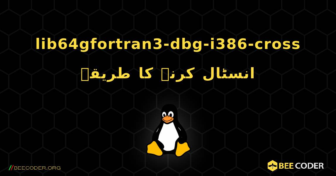 lib64gfortran3-dbg-i386-cross  انسٹال کرنے کا طریقہ. Linux