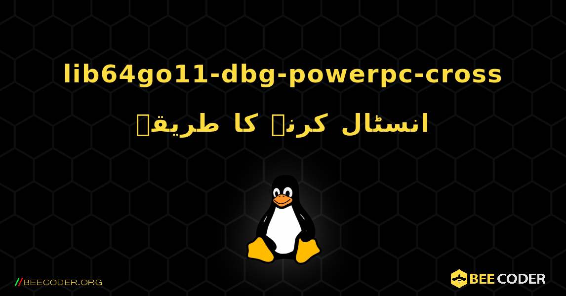 lib64go11-dbg-powerpc-cross  انسٹال کرنے کا طریقہ. Linux