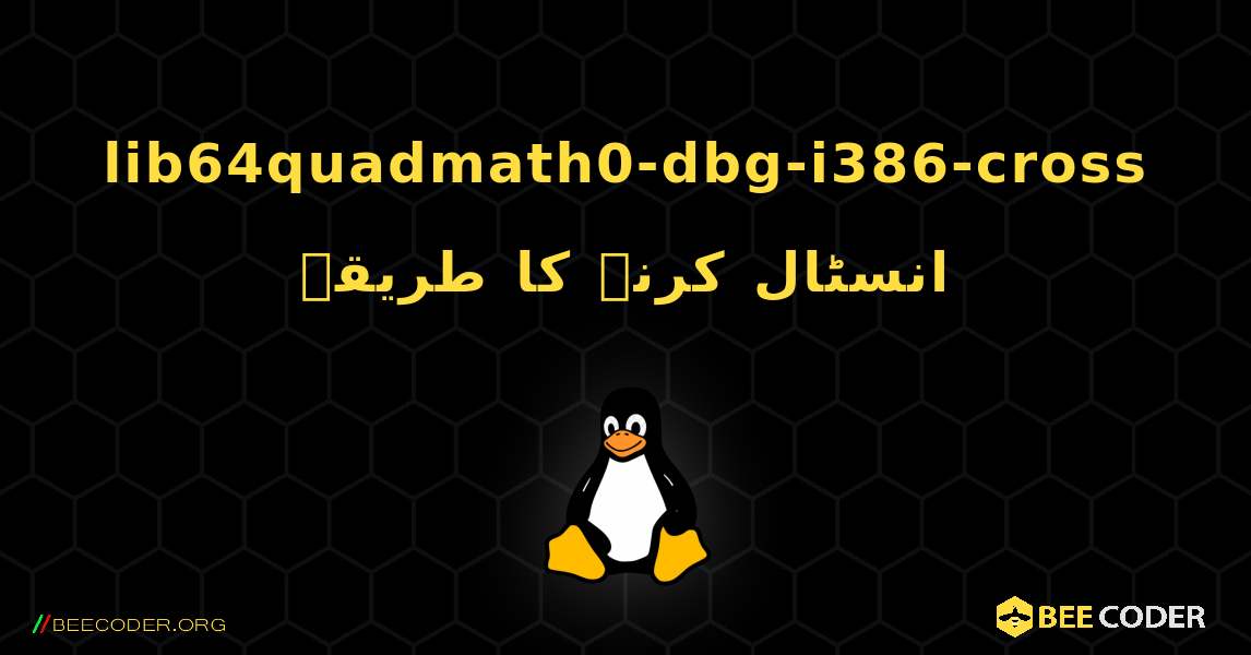 lib64quadmath0-dbg-i386-cross  انسٹال کرنے کا طریقہ. Linux