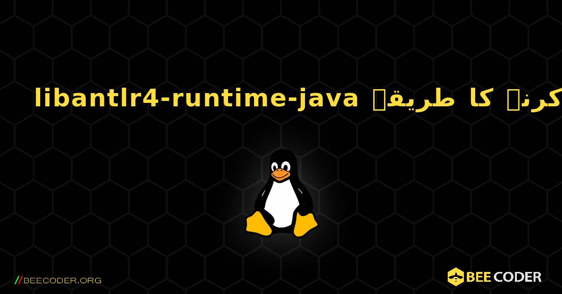 libantlr4-runtime-java  انسٹال کرنے کا طریقہ. Linux