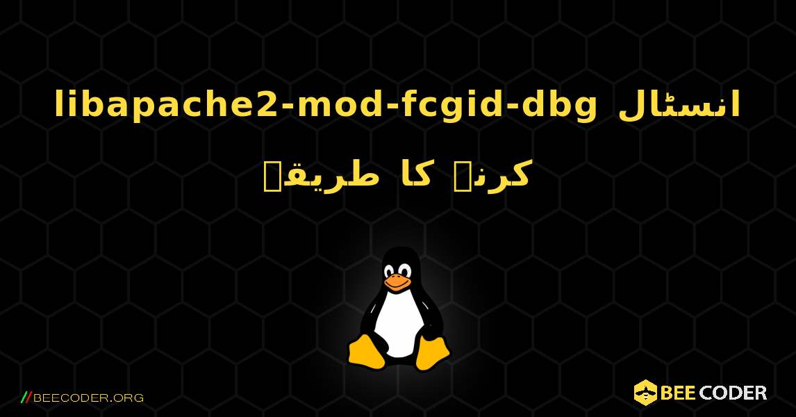 libapache2-mod-fcgid-dbg  انسٹال کرنے کا طریقہ. Linux