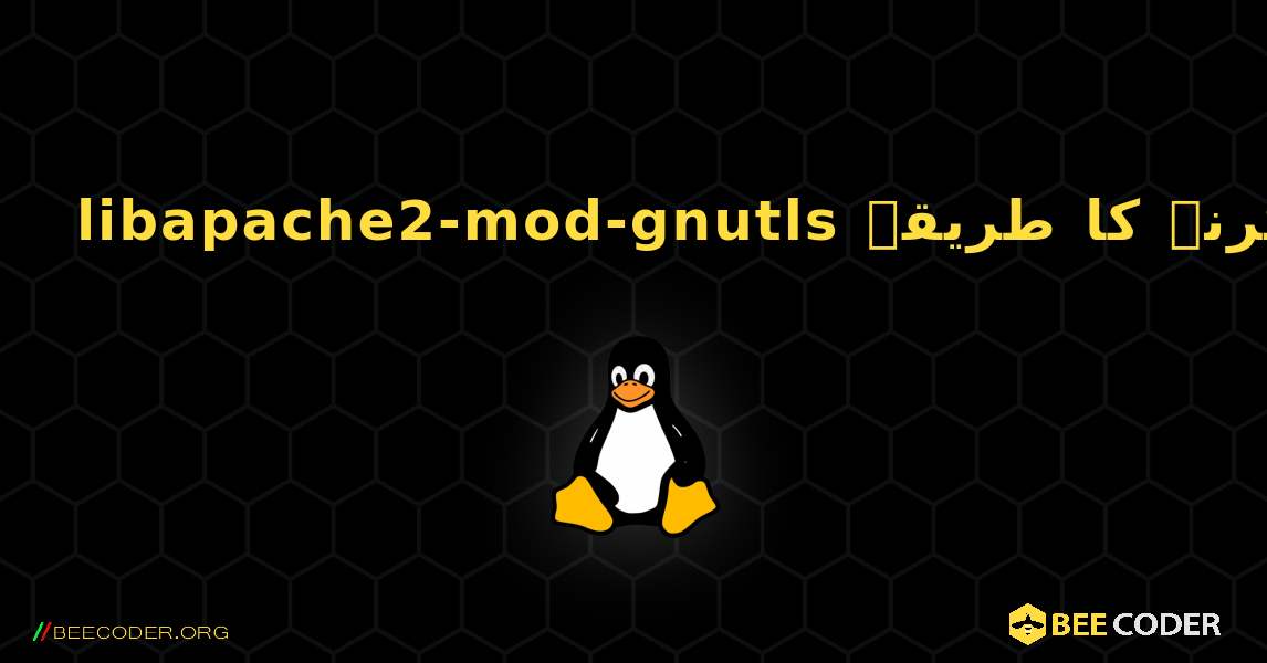 libapache2-mod-gnutls  انسٹال کرنے کا طریقہ. Linux