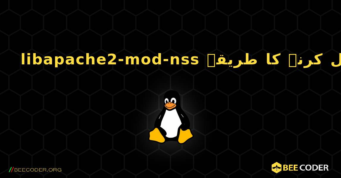 libapache2-mod-nss  انسٹال کرنے کا طریقہ. Linux
