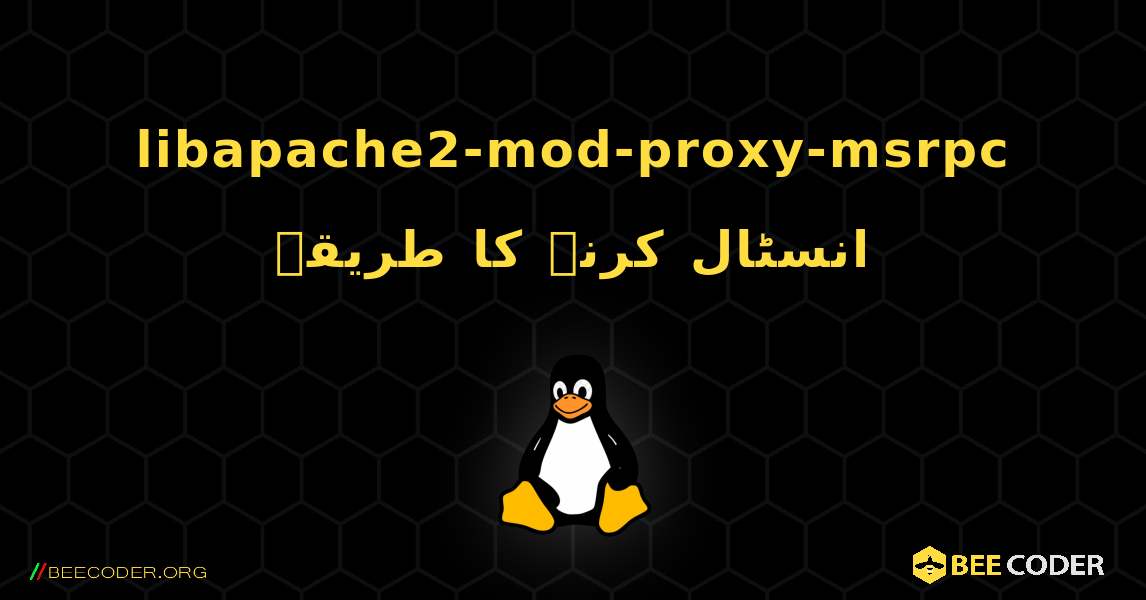 libapache2-mod-proxy-msrpc  انسٹال کرنے کا طریقہ. Linux
